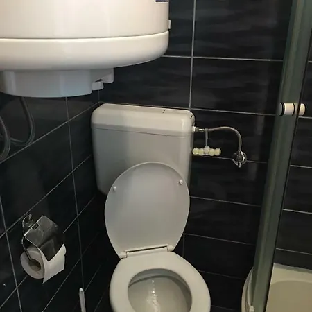 Apartman Vucic ヴィラ *