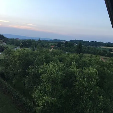 Apartman Vucic ヴィラ